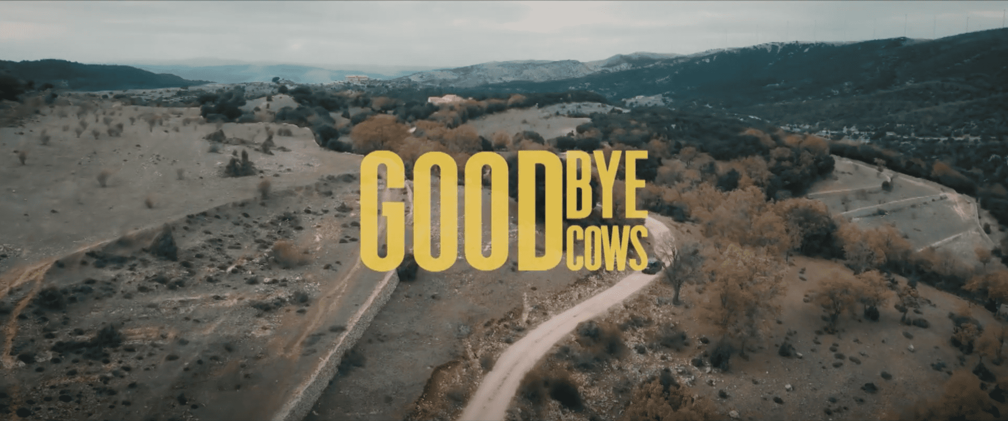 Goodbye Cows: ¿Qué nos espera si desaparece la ganadería de vacuno?